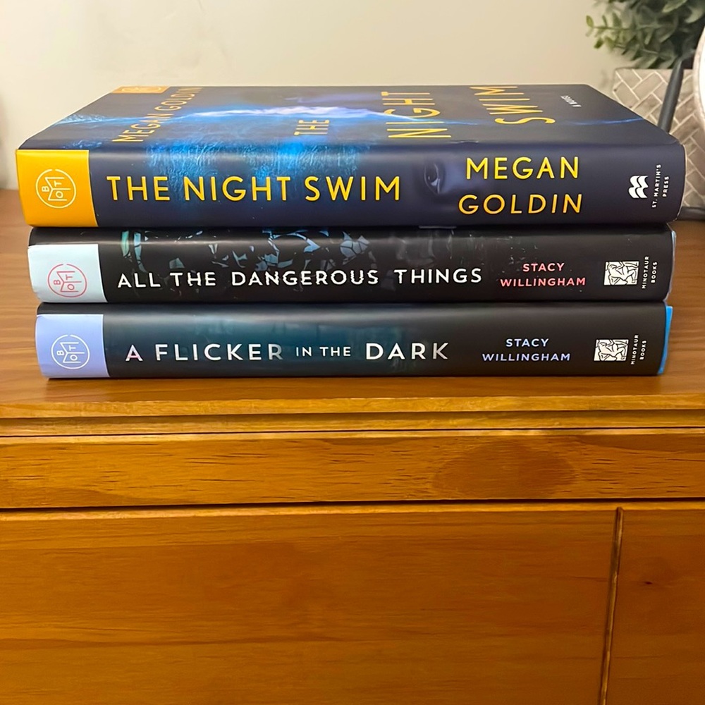 3 Mystery Novels by Stacy Willingham & Megan Goldin - all in great condition